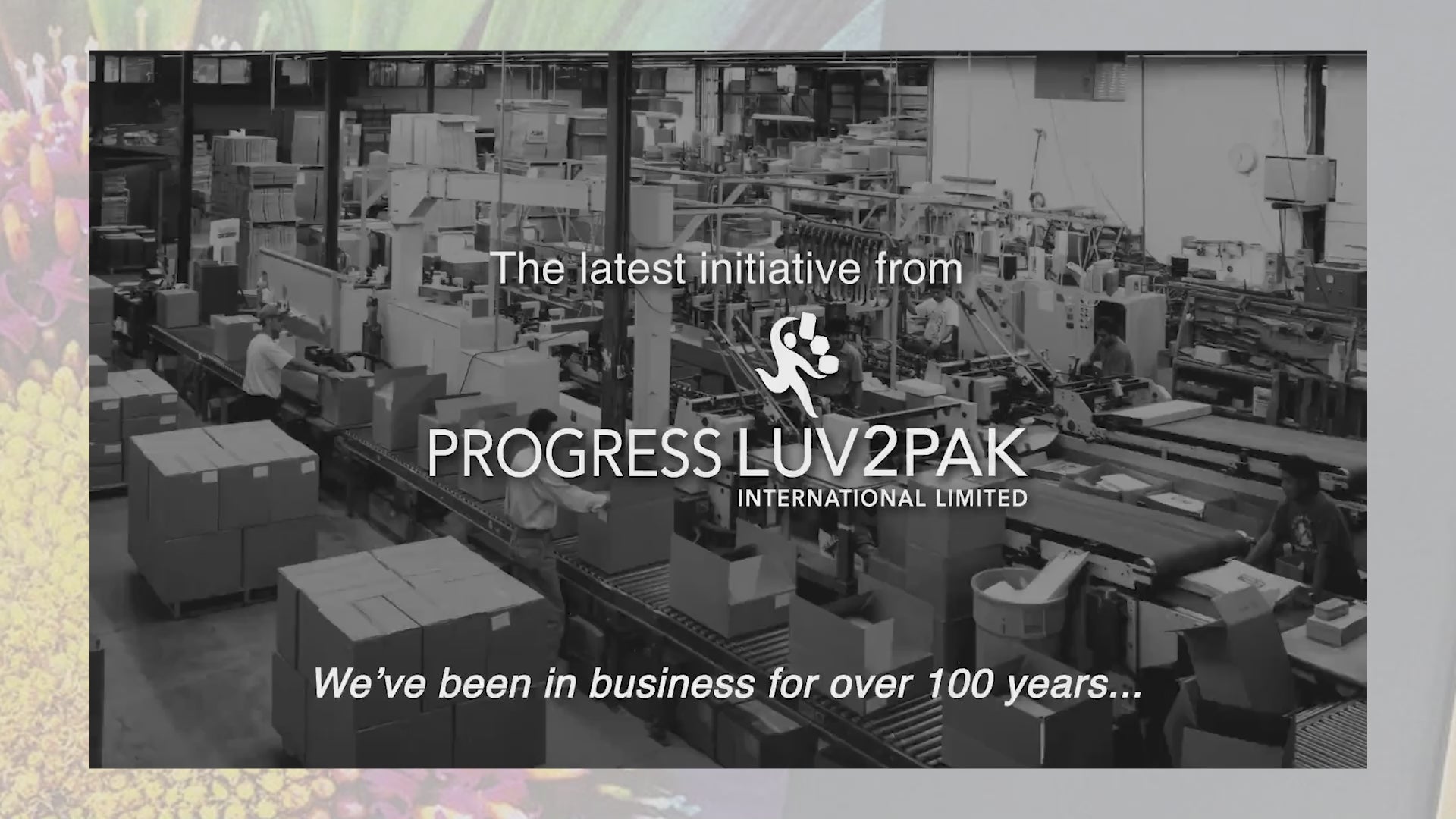 Load video: Superior quality shopping bags proudly made in North America